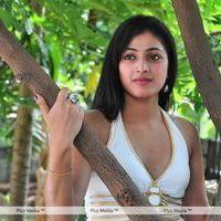 Haripriya New Photo Shoot - Pictures | Picture 115645